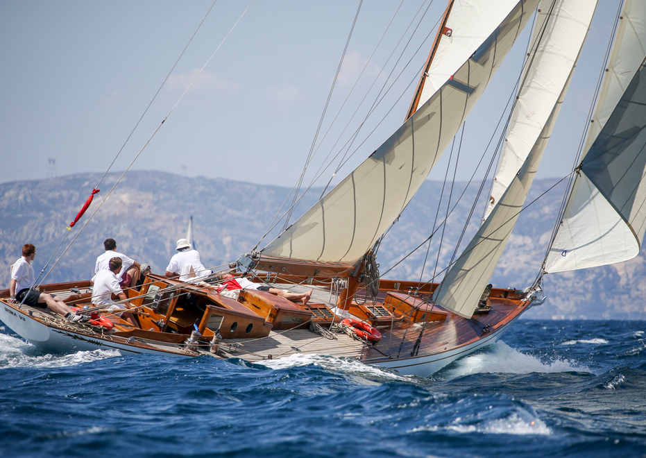 IRINA 4 Voile Vega voiles